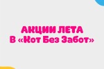 Только этим летом! Специальное предложение в «Кот без Забот»!