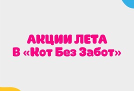 Только этим летом! Специальное предложение в «Кот без Забот»!